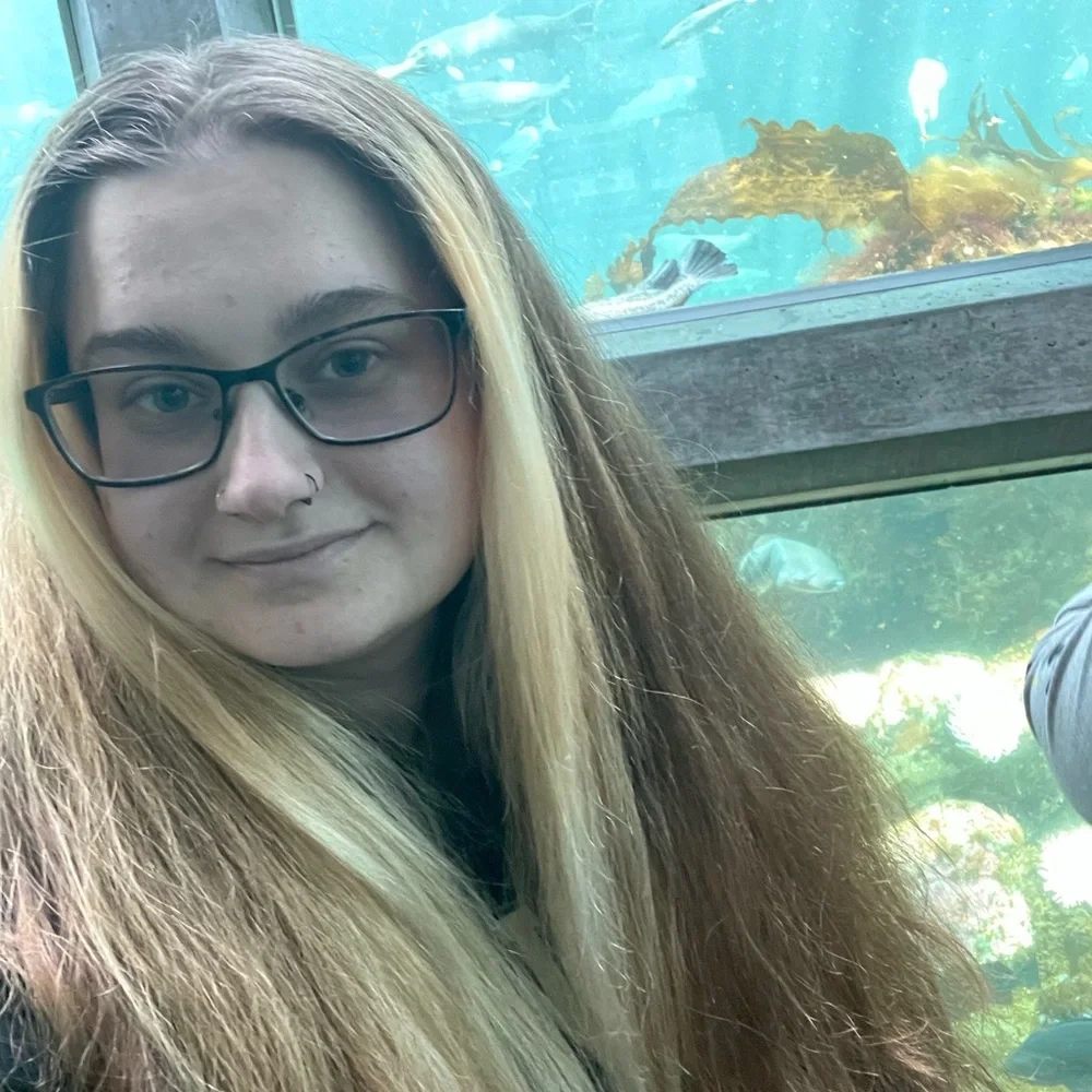 Welcome! - Picture 4 of 6